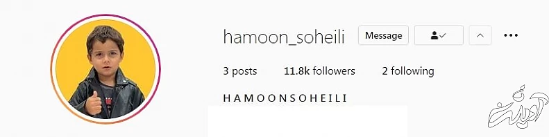 (تصاویر) ماجرای پسر ساعد سهیلی و گلوریا هاردی و بنر‌های فرزندآوری شهرداری!